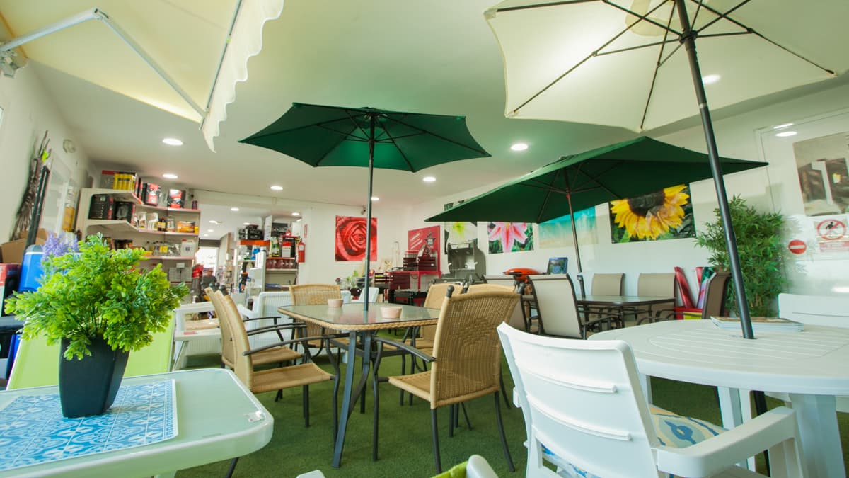 Interior de El Motor 2